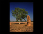 australia - termite mound.jpg